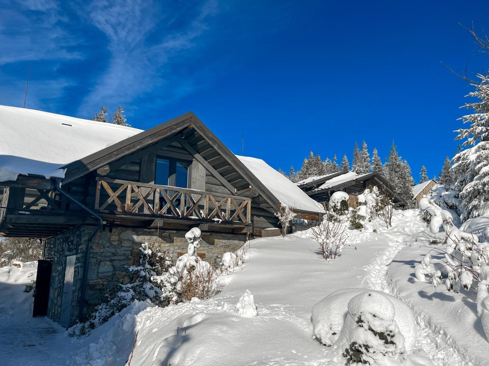 Charlton Estate Villa Yablunytsya Exterior photo